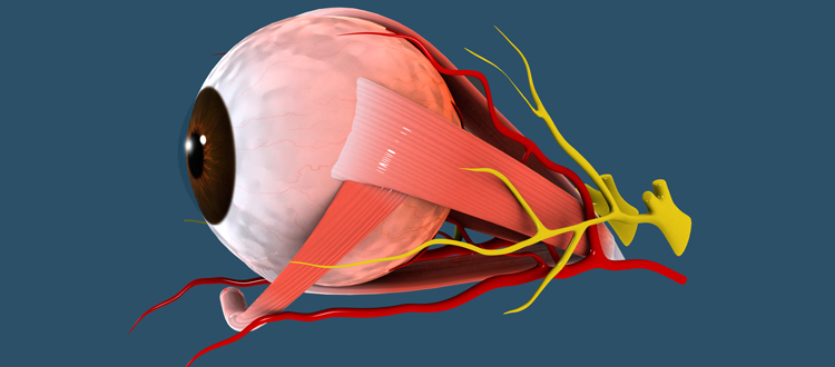 Optic Nerve Damage Treatment with Stem Cell Therapy